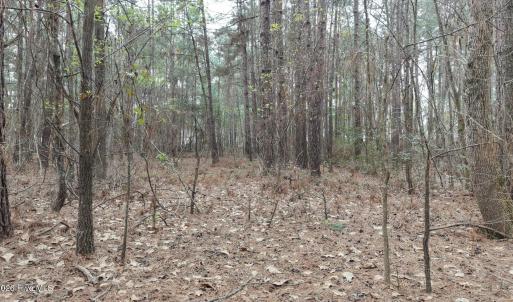 DJI_20260321213541_0107_D