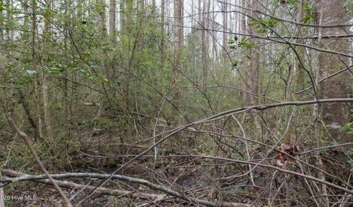 DJI_20260321220936_0140_D