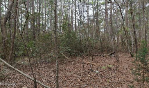 DJI_20260321213603_0110_D