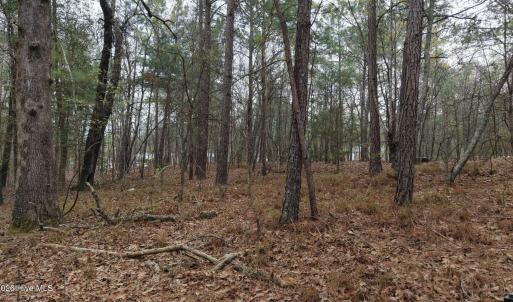 DJI_20260321213244_0097_D