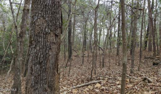 DJI_20260321213308_0098_D