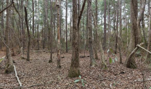 DJI_20260321213600_0109_D