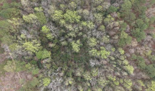 DJI_20260321212024_0064_D