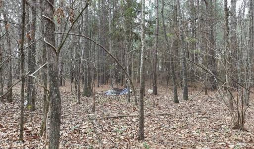 DJI_20260321213522_0106_D