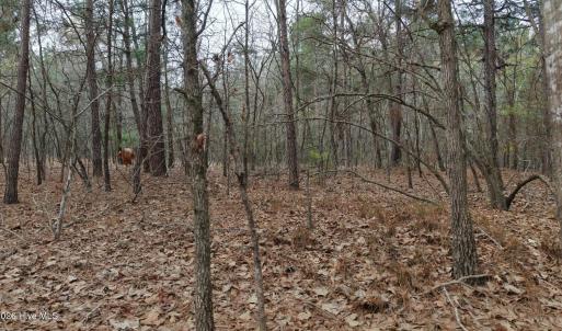 DJI_20260321213324_0100_D