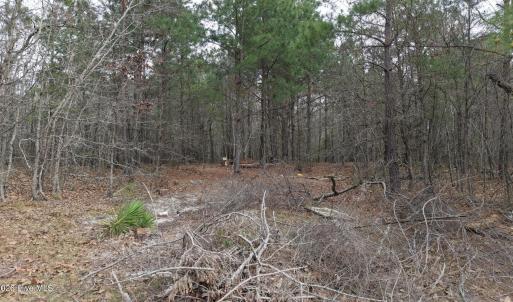 DJI_20260321212807_0078_D