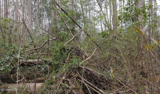 DJI_20260321220845_0138_D