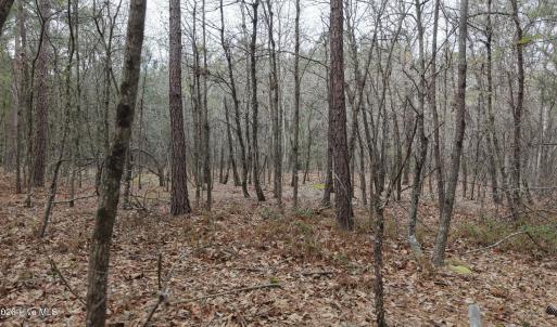 DJI_20260321213230_0095_D