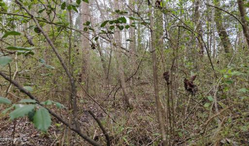 DJI_20260321220834_0137_D