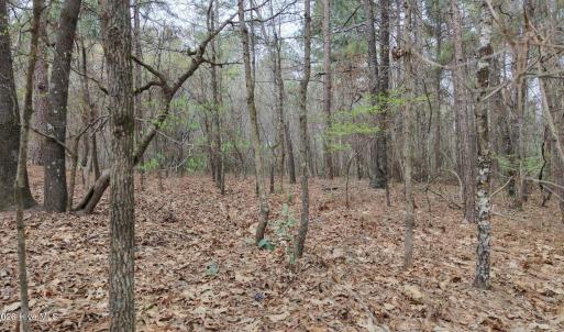 DJI_20260321213329_0101_D