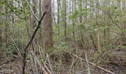 DJI_20260321220939_0141_D