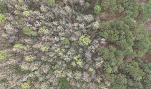 DJI_20260321212230_0073_D