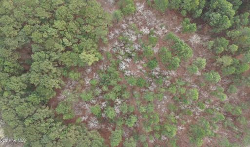 DJI_20260321212146_0069_D