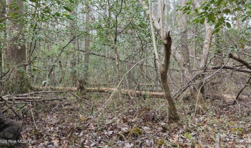 DJI_20260321221056_0142_D