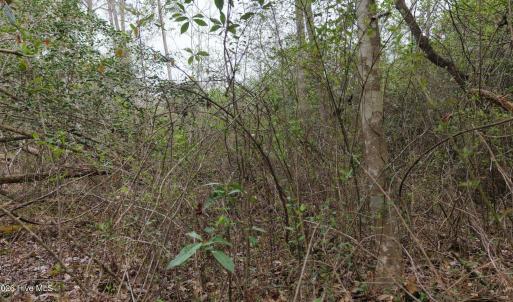 DJI_20260321221105_0143_D