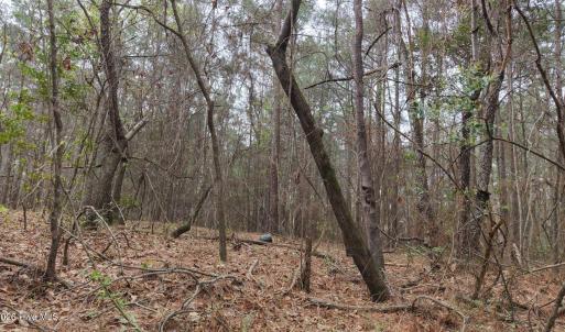 DJI_20260321214120_0121_D