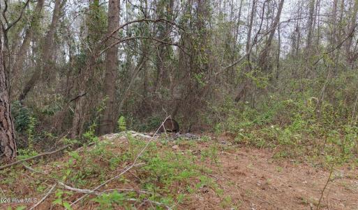 DJI_20260321213847_0116_D