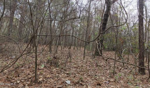 DJI_20260321214118_0120_D