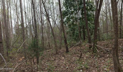 DJI_20260321214052_0119_D