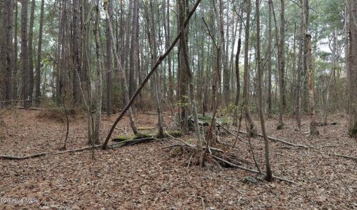 DJI_20260321213554_0108_D