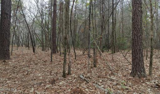 DJI_20260321213425_0105_D