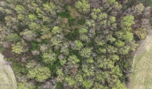 DJI_20260321212218_0072_D