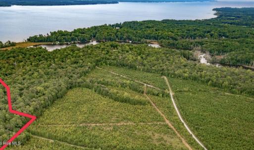 Screenshot 2026-02-05 at 2.45.36PM