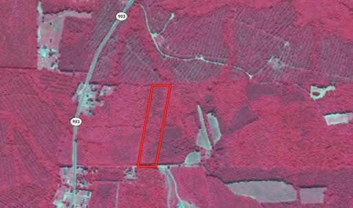 Screenshot_6-2-2026_01529_id.land