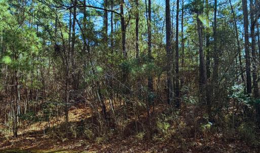 883 Loblolly As Seen From Road