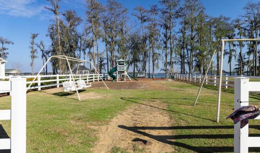 Spring Altered Photo