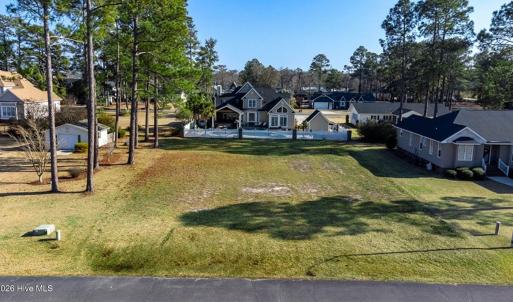 Spring Altered Photo