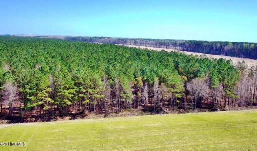 20240320170256993064000000-o