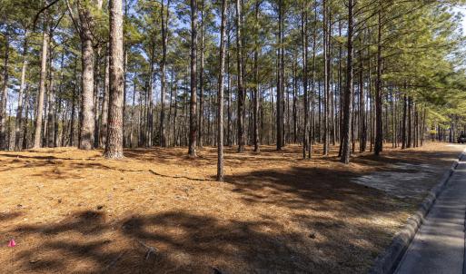 214 Meyer Farm Dr Ground_1