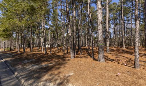 214 Meyer Farm Dr Ground_2