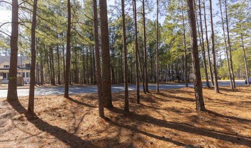 214 Meyer Farm Dr Ground_3