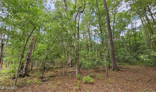 Near the Center of Homesite