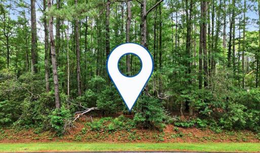 Beautiful Pines will enhance your Home