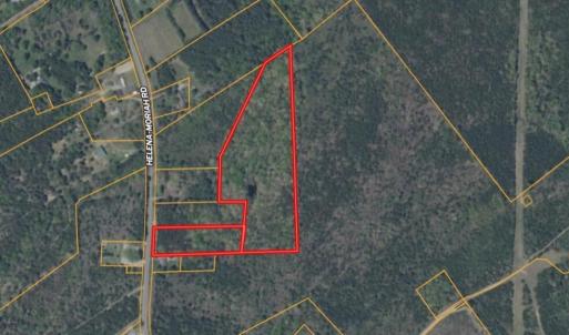 Screenshot_12-2-2026_0341_id.land