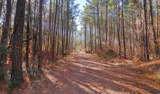 Partially Cleared Lot