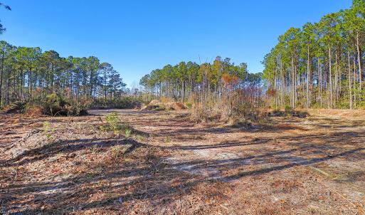Partially Cleared Lot