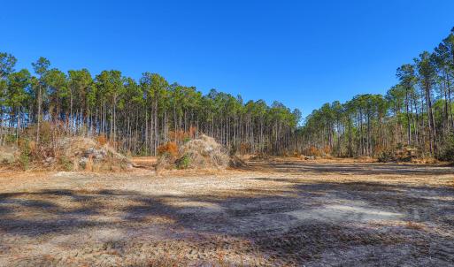 Partially Cleared Lot