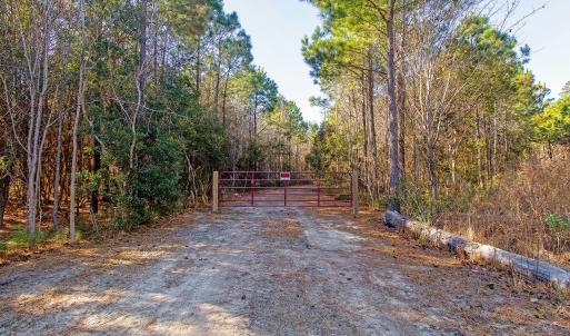 Partially Cleared Lot