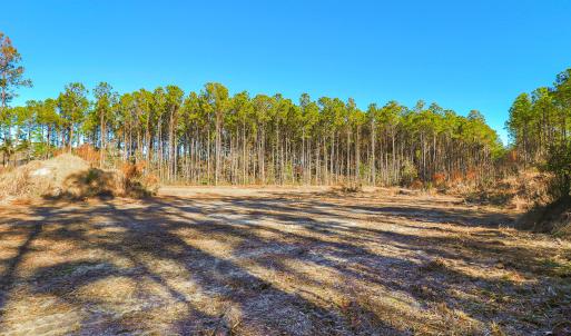 Partially Cleared Lot