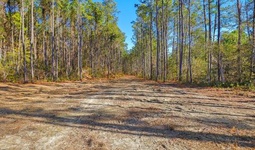 Partially Cleared Lot