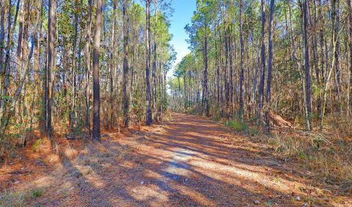 Partially Cleared Lot