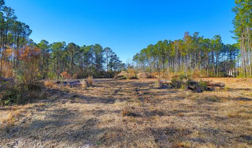 Partially Cleared Lot