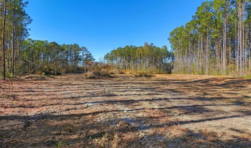 Partially Cleared Lot