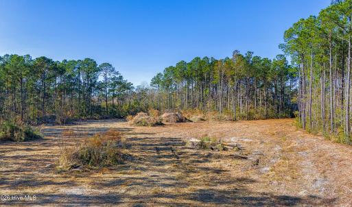 Partially Cleared Lot