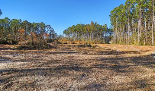 Partially Cleared Lot