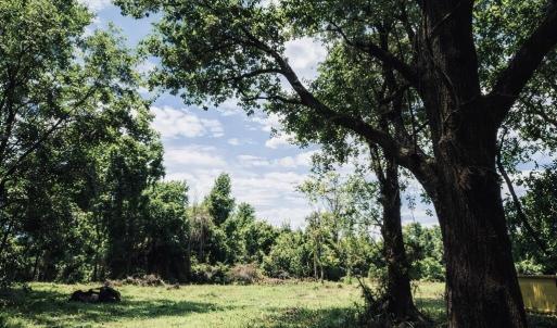 Planned Location for New Build (2)